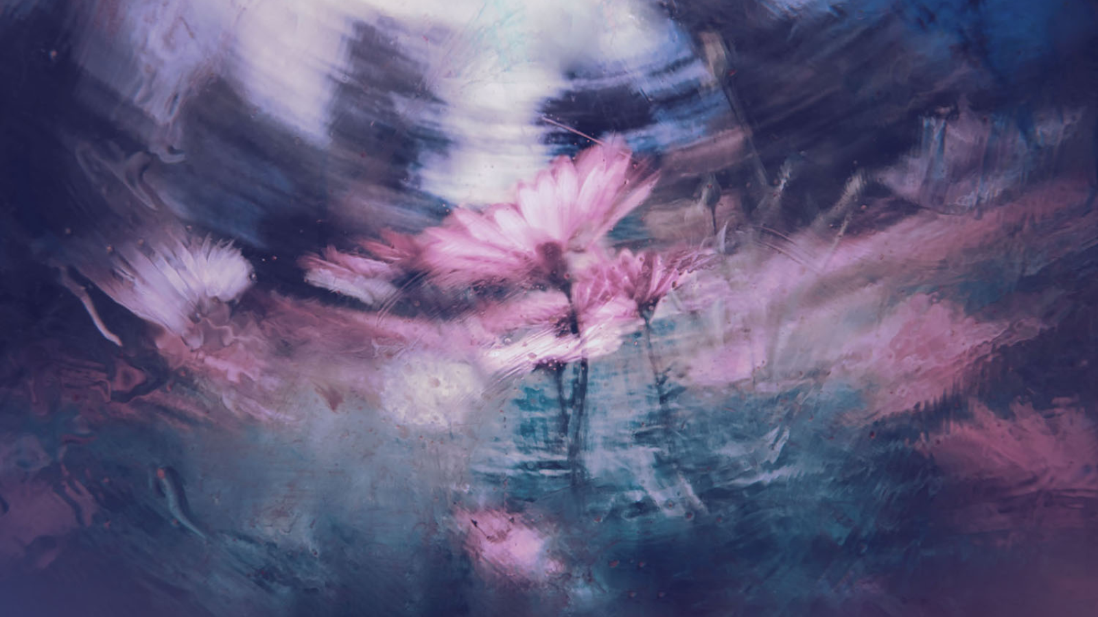 A Midsommer Night's Dream