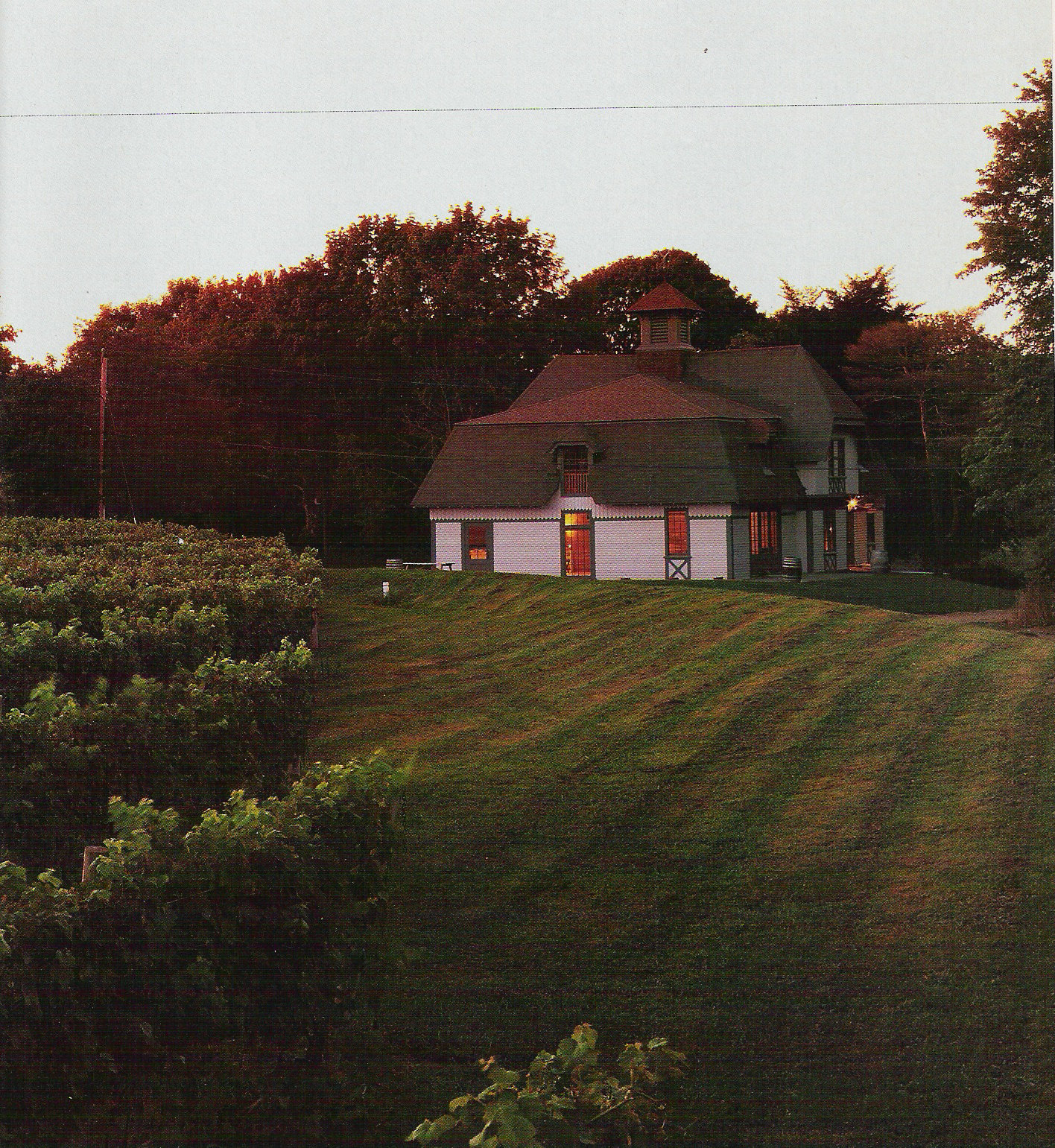 Greenvale Tasting Room