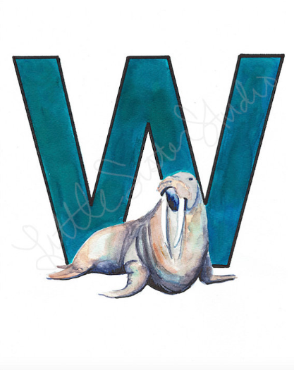 W is for Walrus