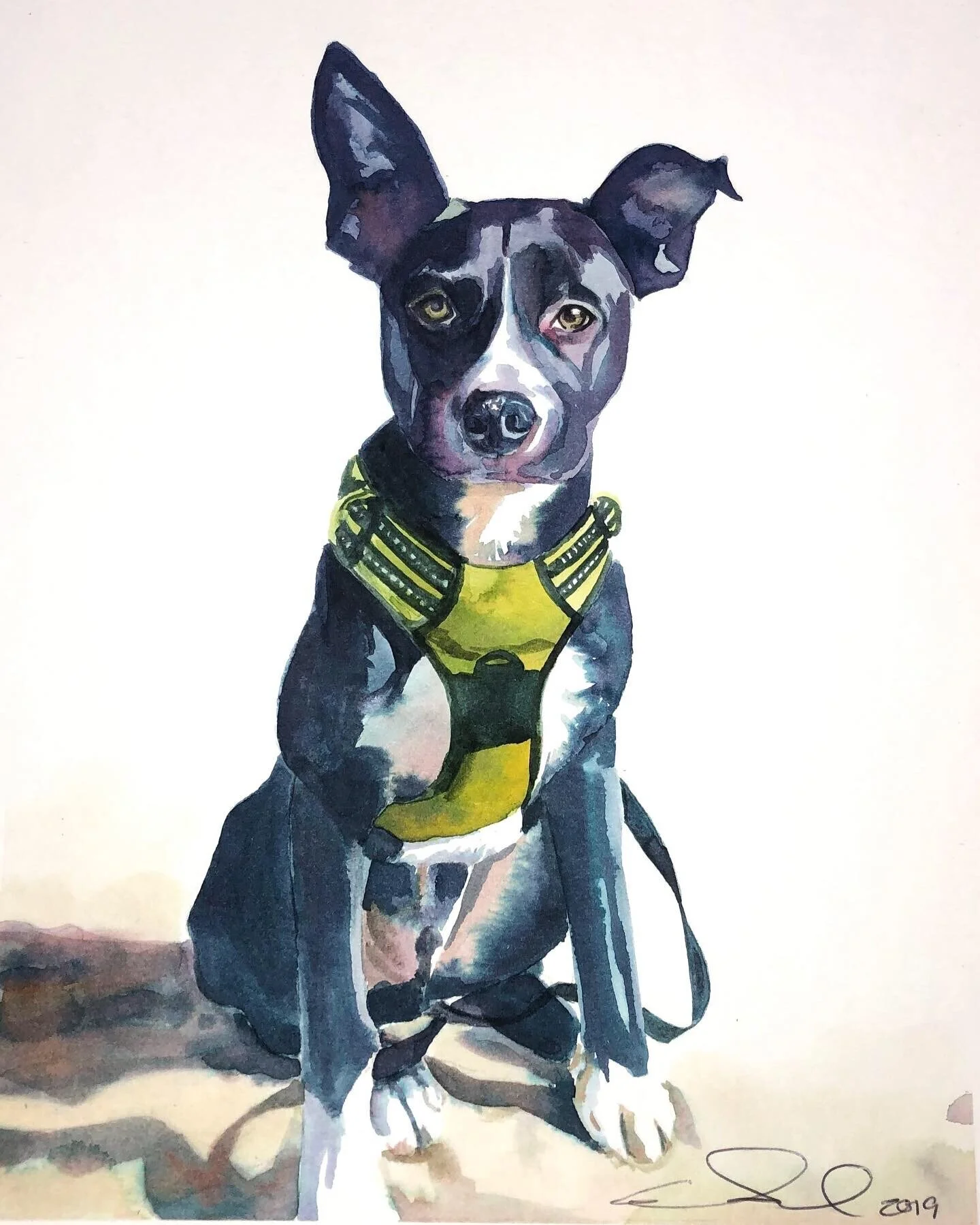 Watercolor Pet Workshop with Morgan McCue