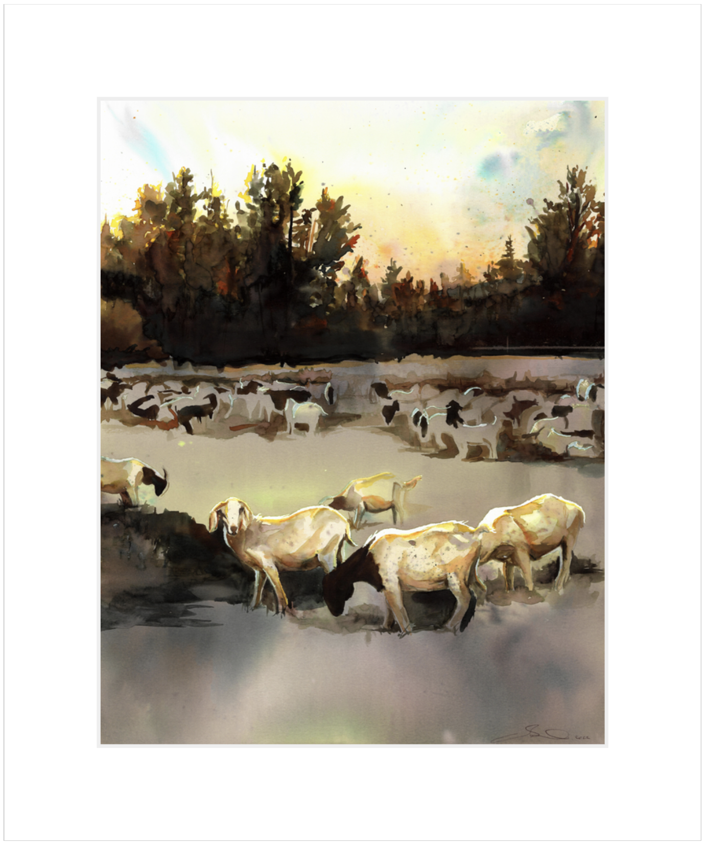 What's Up With The Goats At Willow Creek?