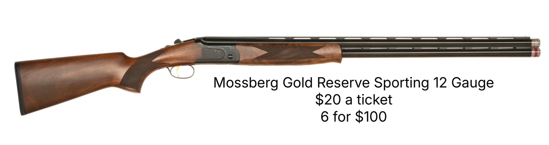 IMG_0605 - Copy.jpeg