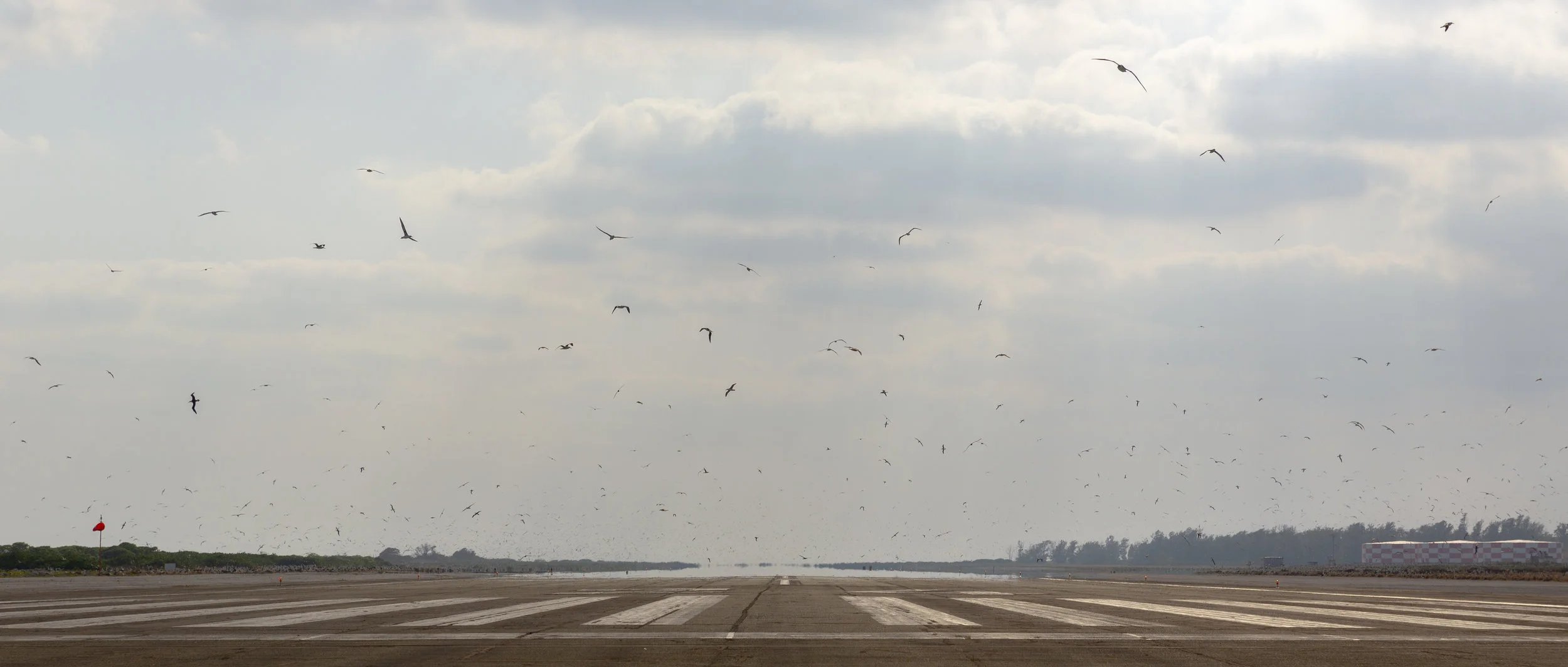 HERDERSON-FIELD-RUNWAY_MIDWAY-ATOLL_FACING-WEST-1.jpg