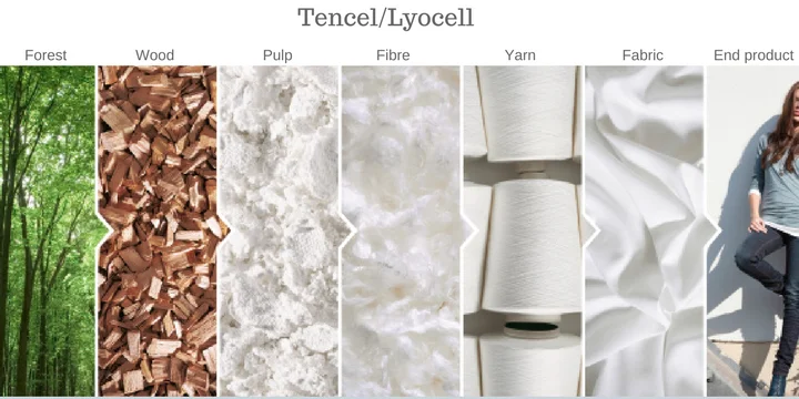 tencel-process-forest-to-end-product.jpg