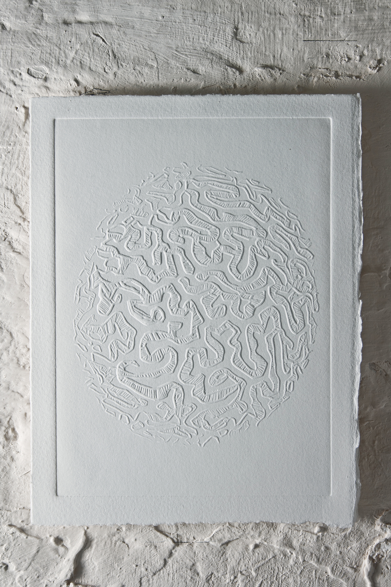 “Brain Coral” Blind embossing 29.5 x 24 cm 2013