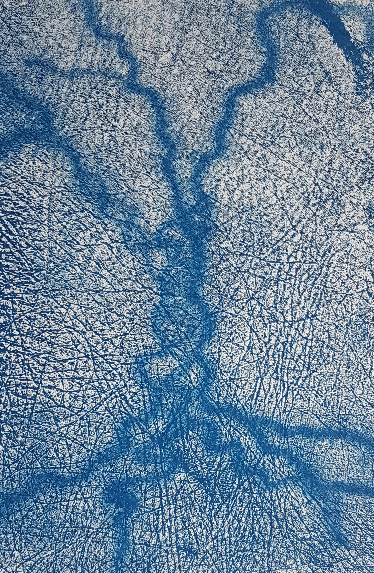 Aerial Cyanotype