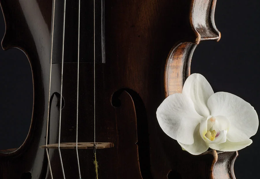 SINGS-violin.jpg
