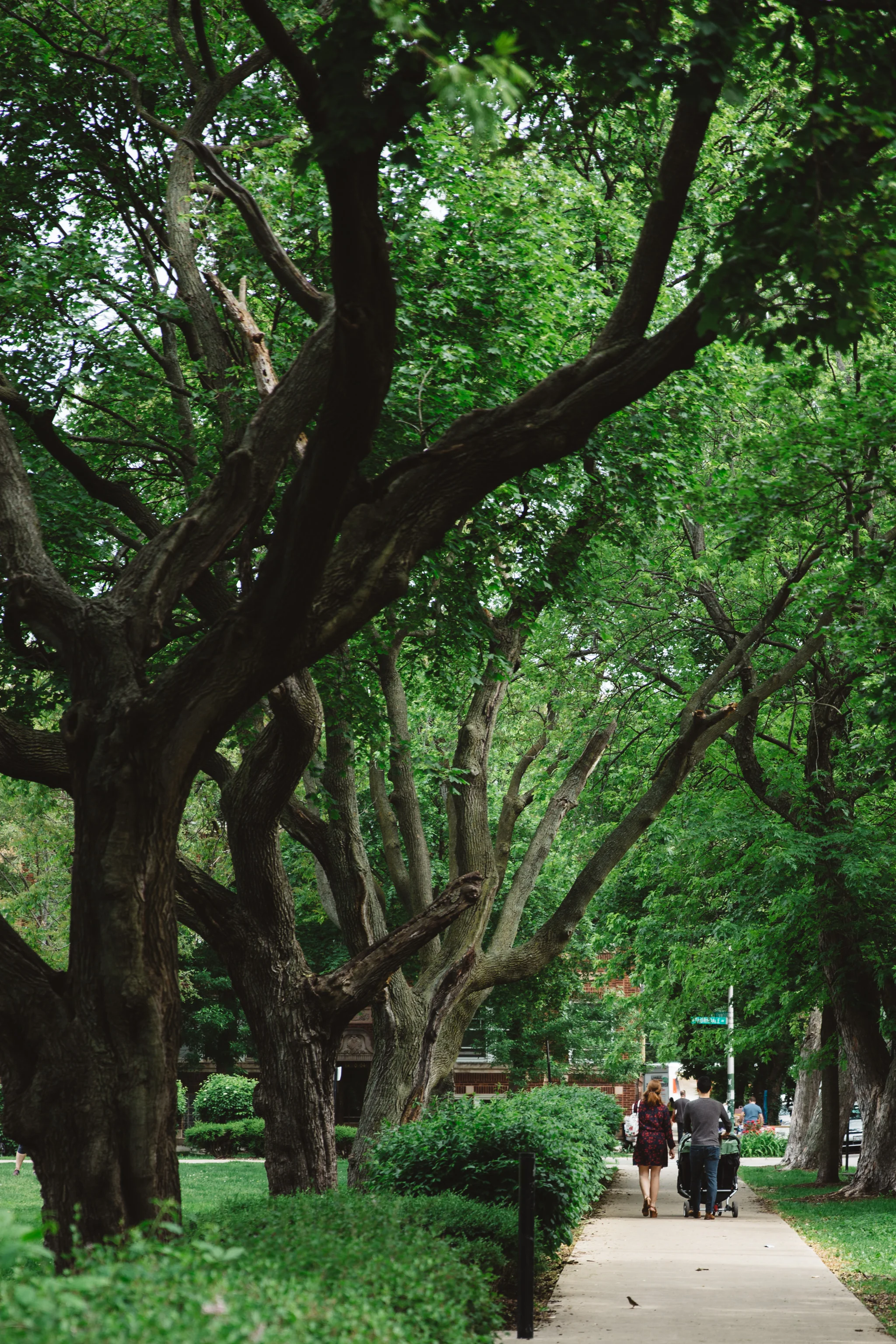 Kim Family // Chris & Jules Photography
