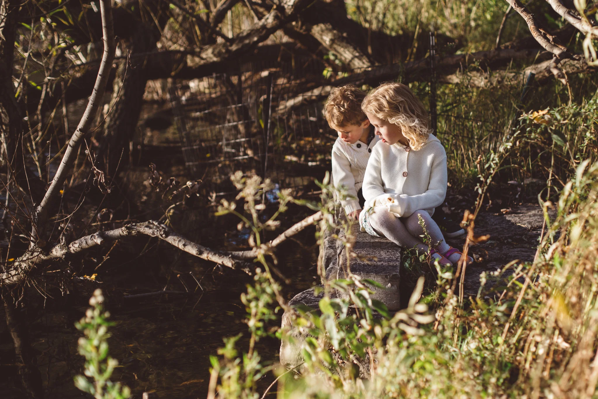 Sabrina-Eric-Family-7835.jpg