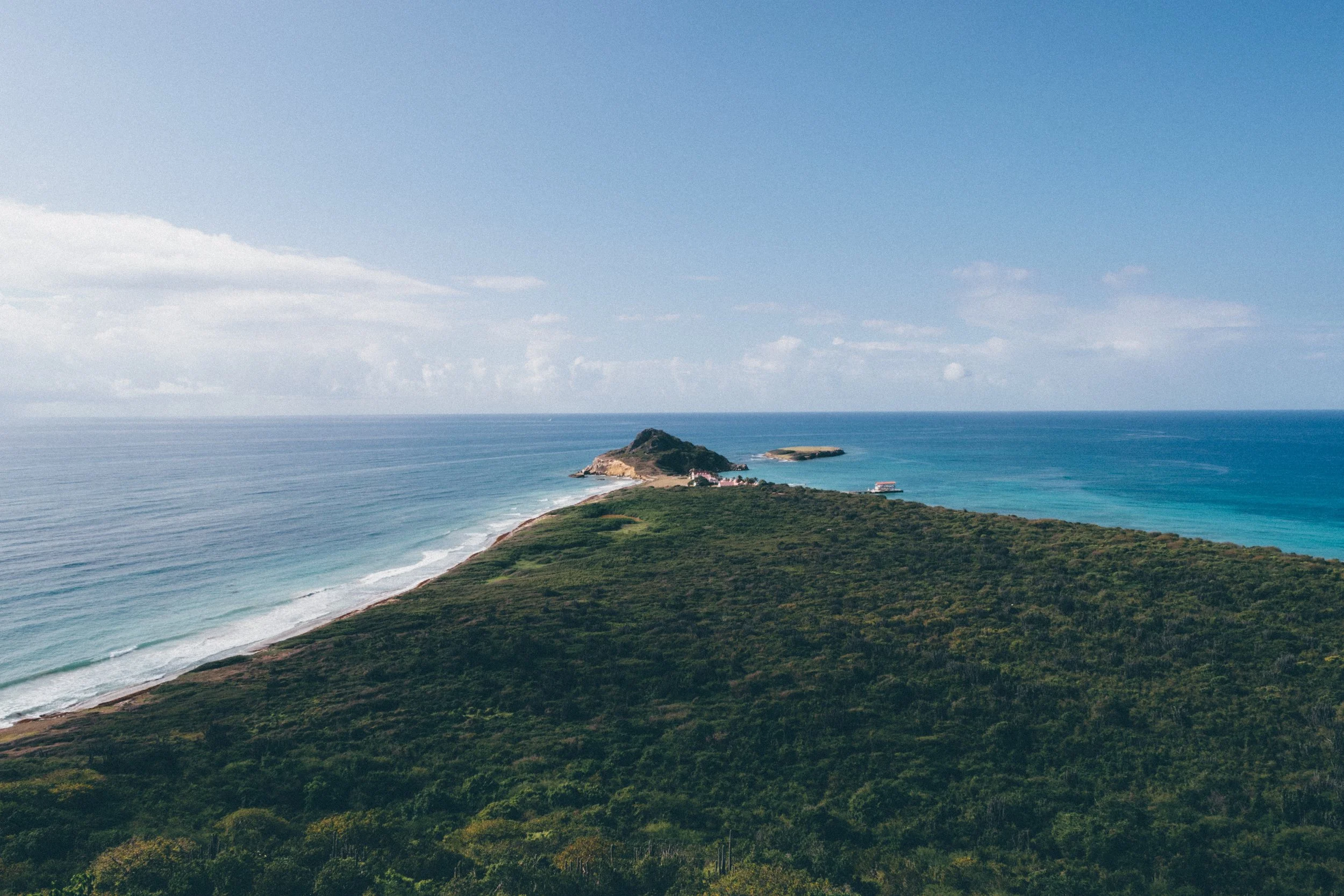Photo by Jose Murillo on Unsplash