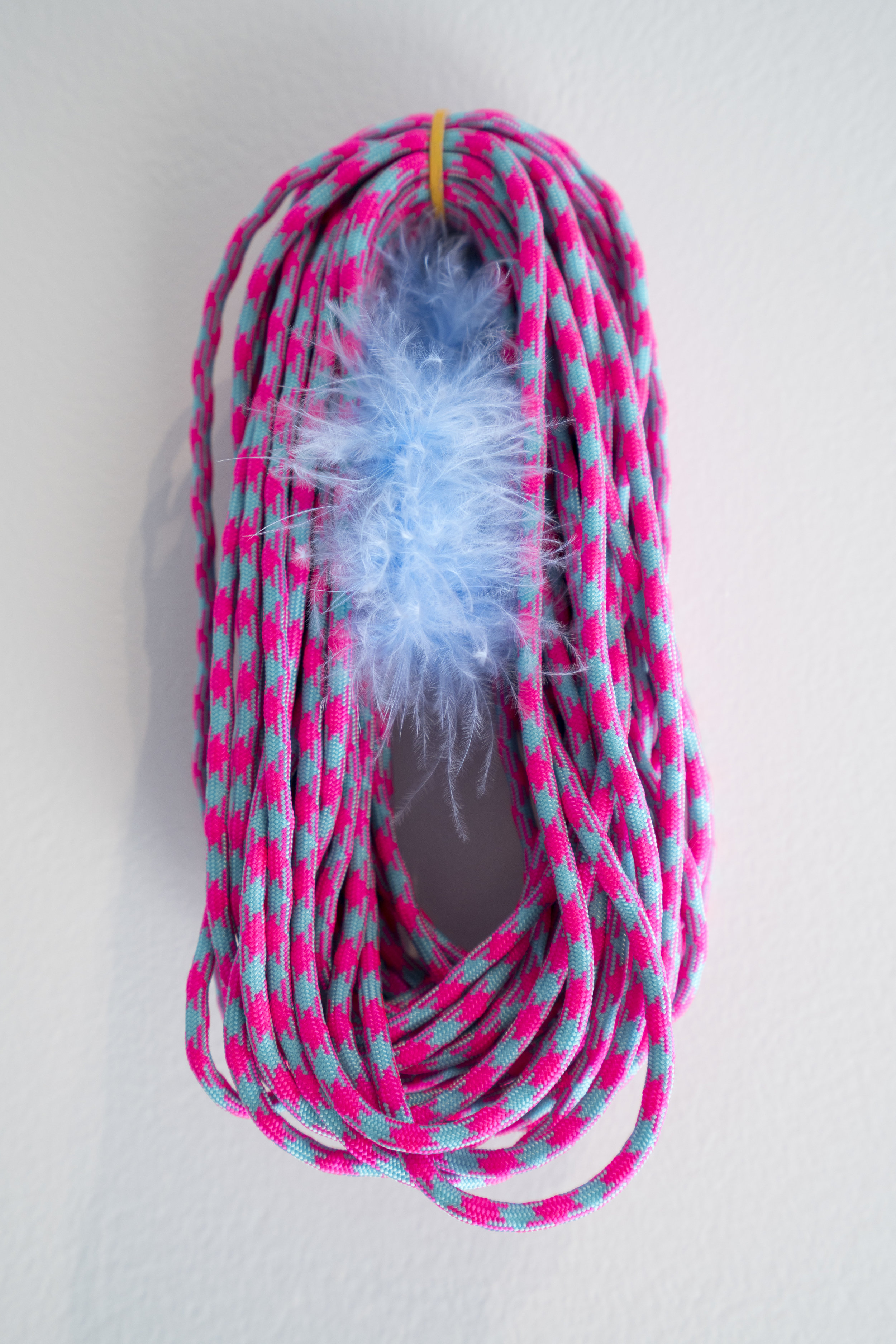   Flossy   2016  Down feathers, paracord, plastic, acrylic paint.  3.5" x 6"    