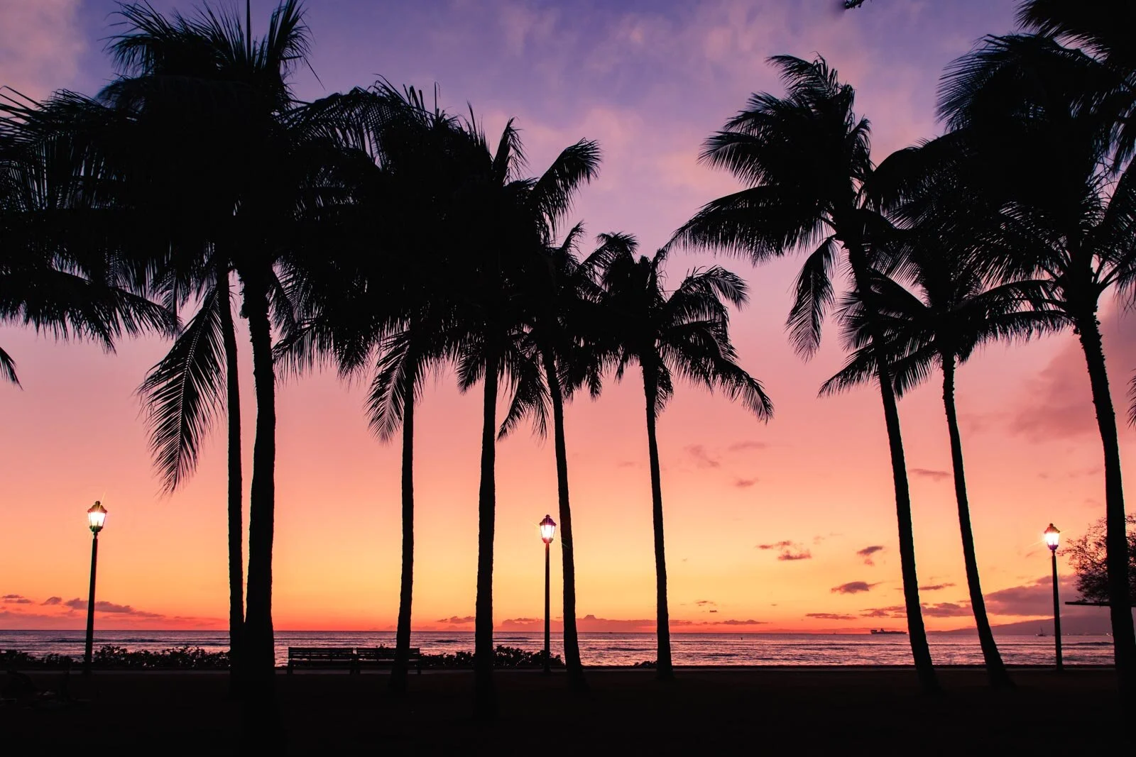 Hawaii Fine Art web-0458.jpg