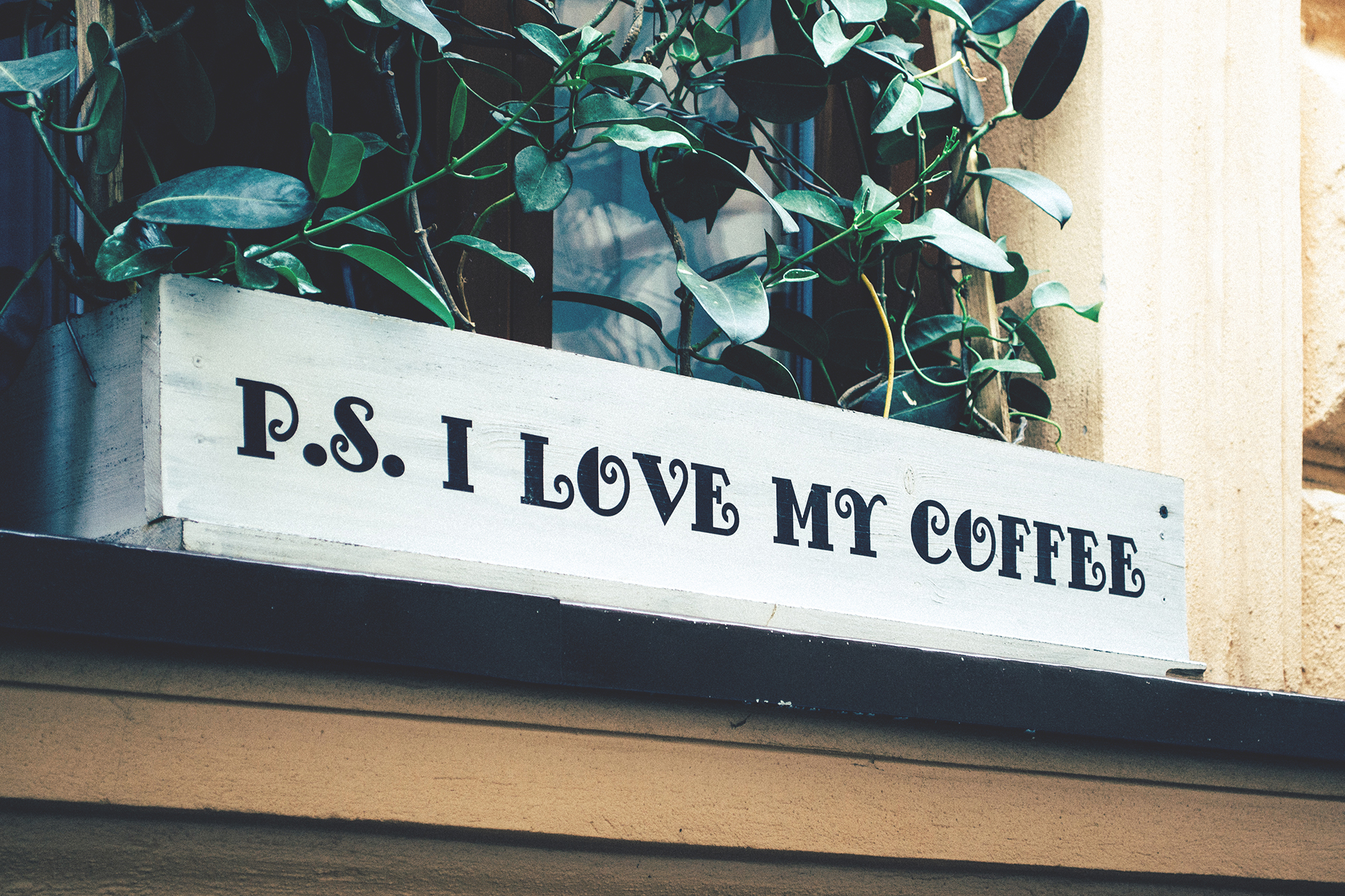 about me 1.jpg