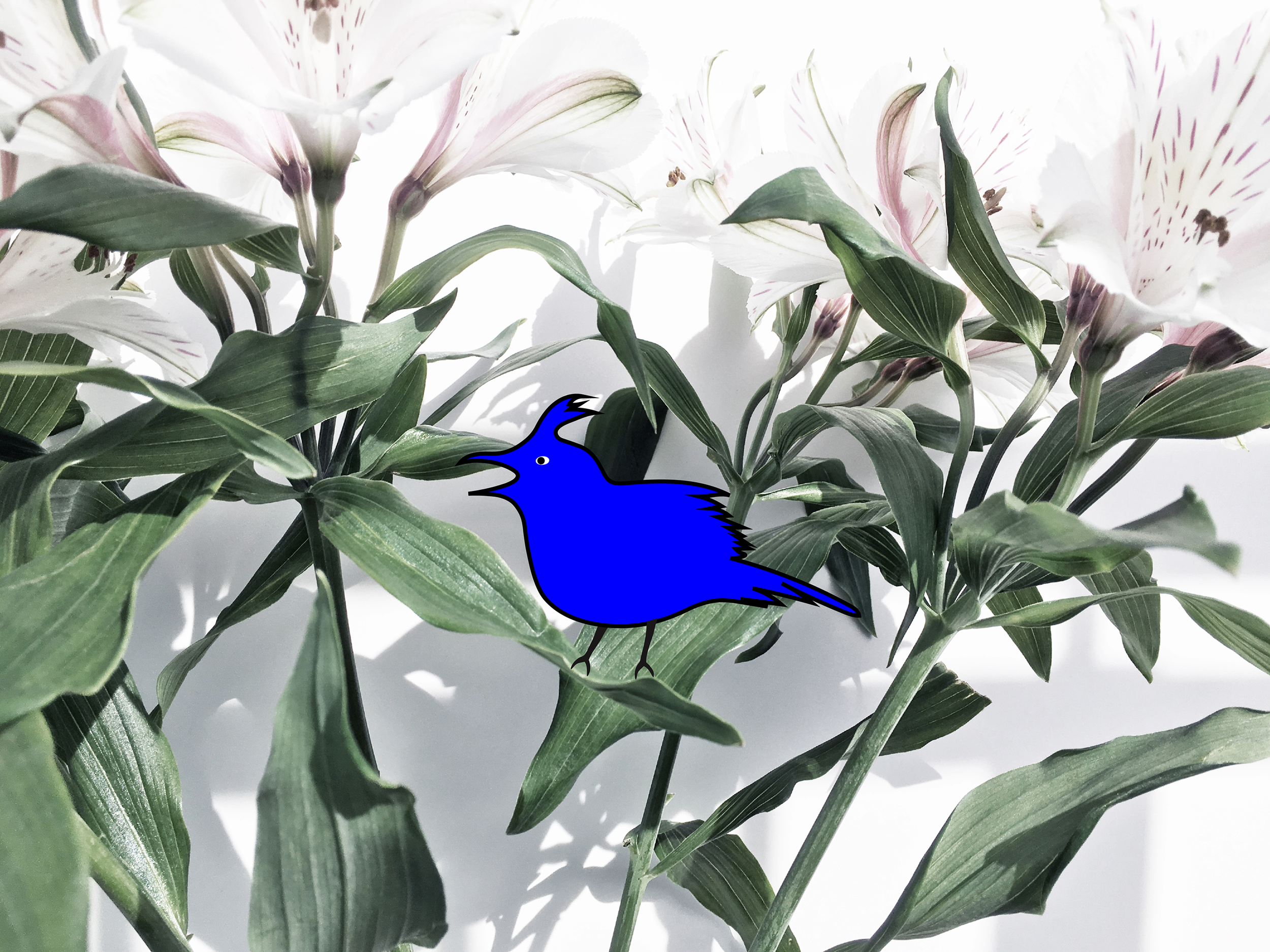 Cover page with blue skylark pos 2 .png