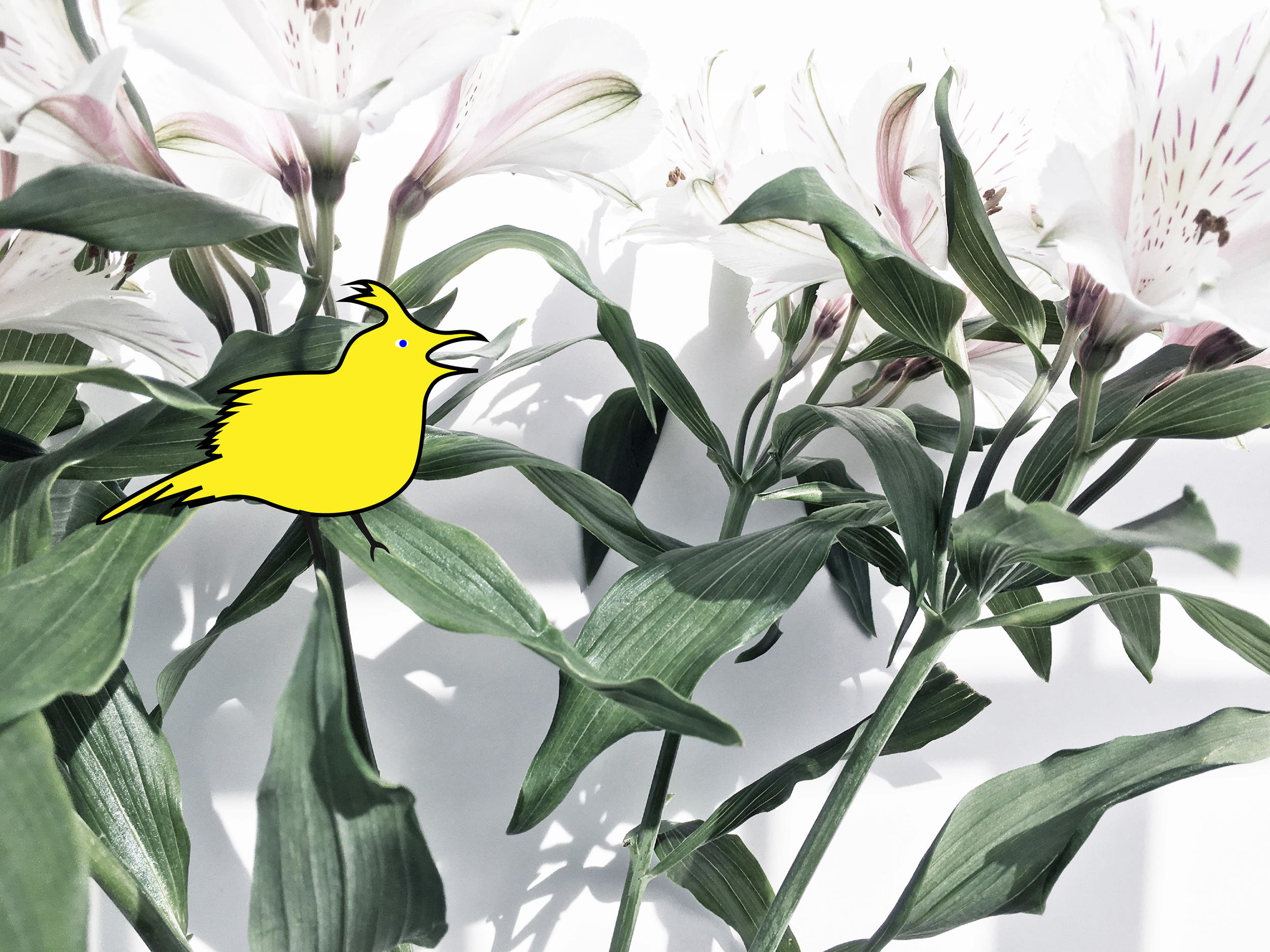 Cover page with yellow skylark pos 3.png