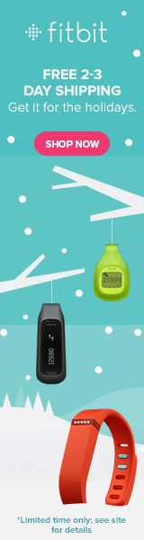 120213_Fitbit_Family_Holiday_160x600_B.jpg