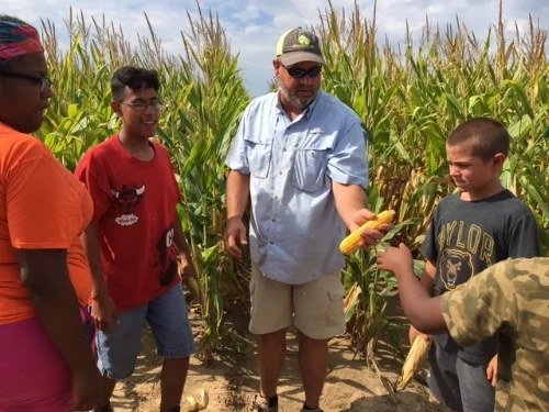 Picture courtesy of Connecting City to Farm 