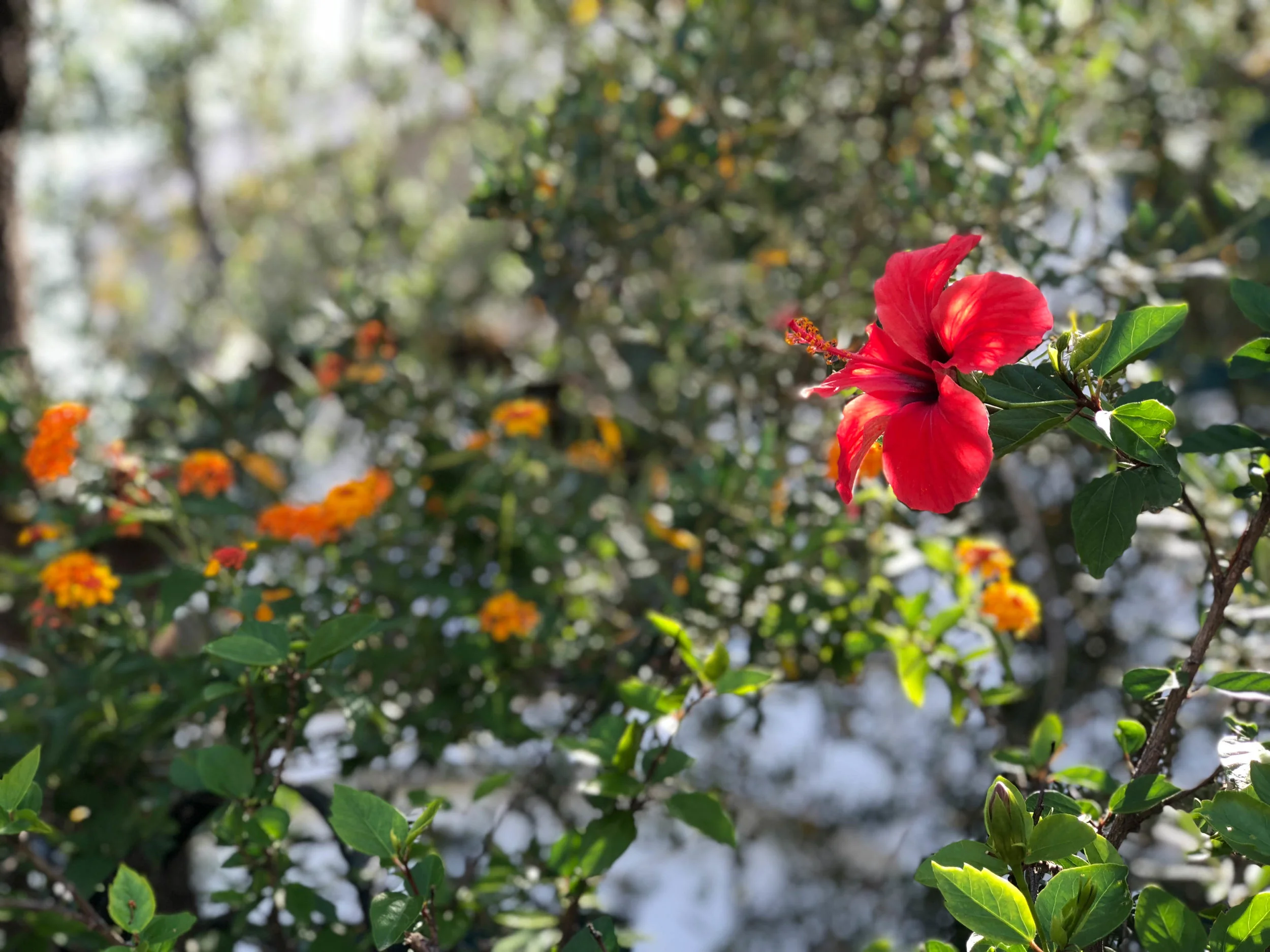 Nature at Casale Antonietta