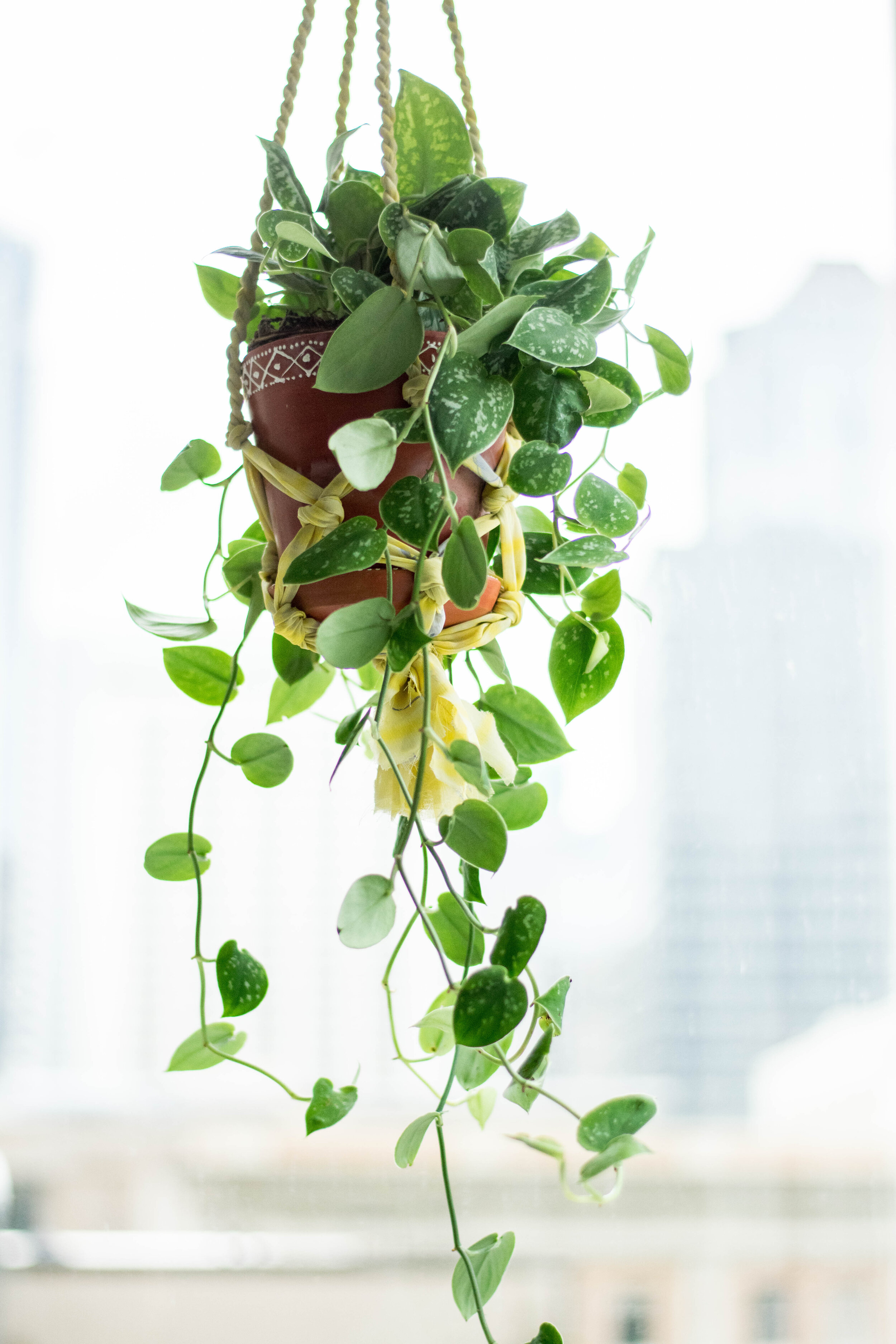 Upcycled Sari Macrame Plant Hanger