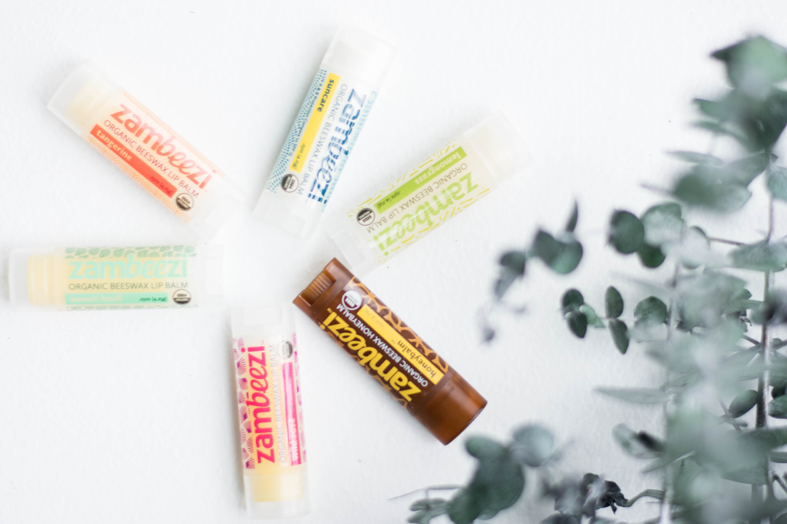 Organic Lip Balm & Fair Trade Body Care by Zambeezi — The Honest Consumer