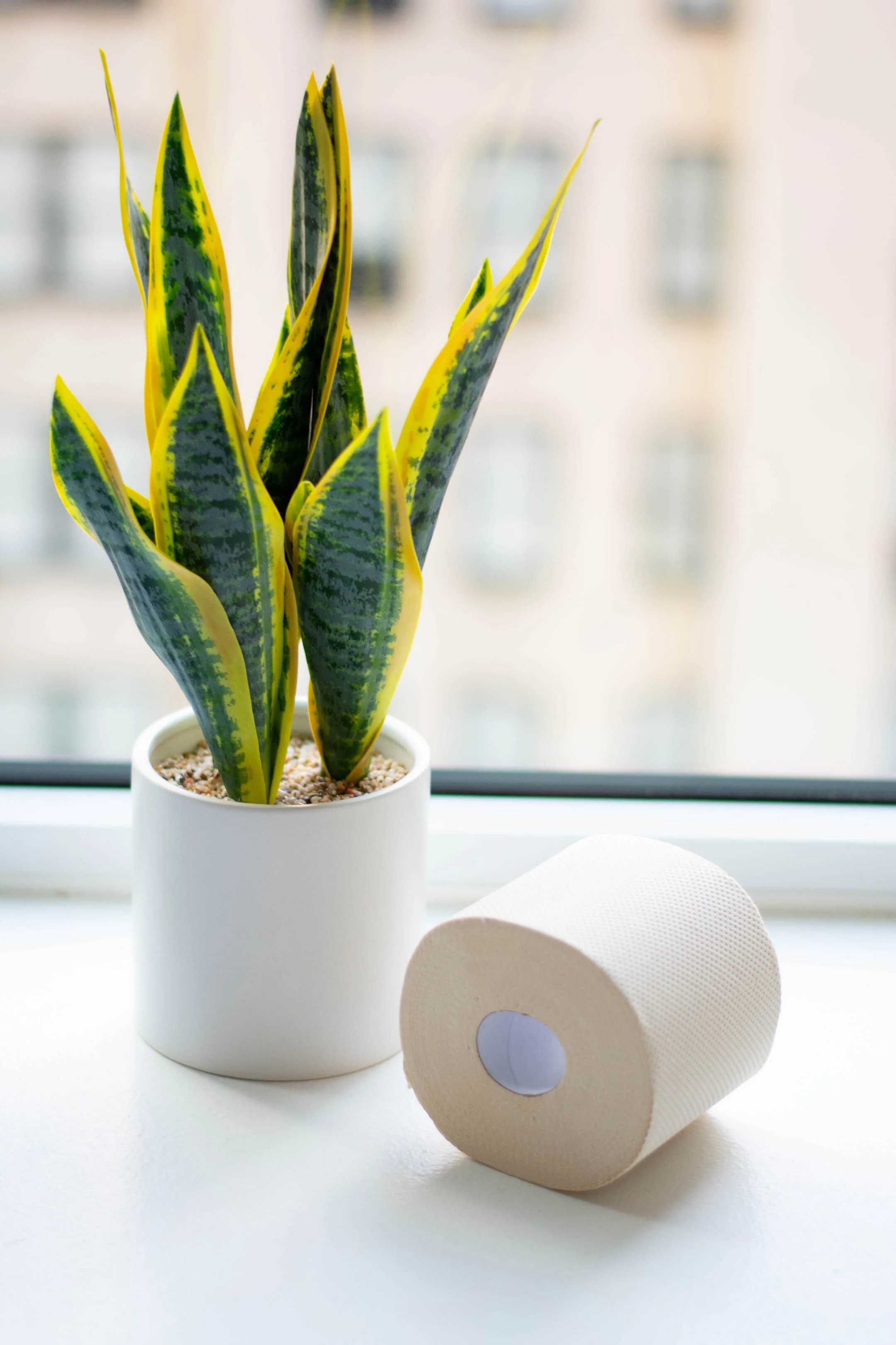 bamboo toilet paper