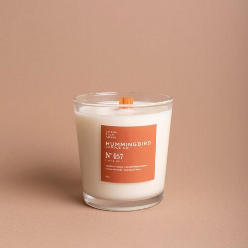 40hr CINNAMON SPICED APRICOTS Organic ECO SOY PREMIUM JAR CANDLE Triple Scented 