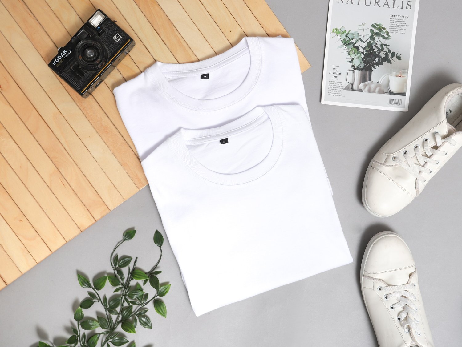 The office astronaut Sentimental The Best Organic Cotton T-Shirts for Men & Women — The Honest Consumer