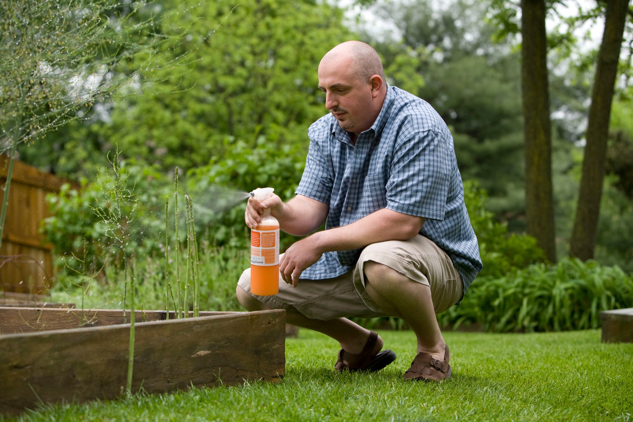 7 Natural & Non-Toxic Pesticides for Your Home Garden — The Honest Consumer