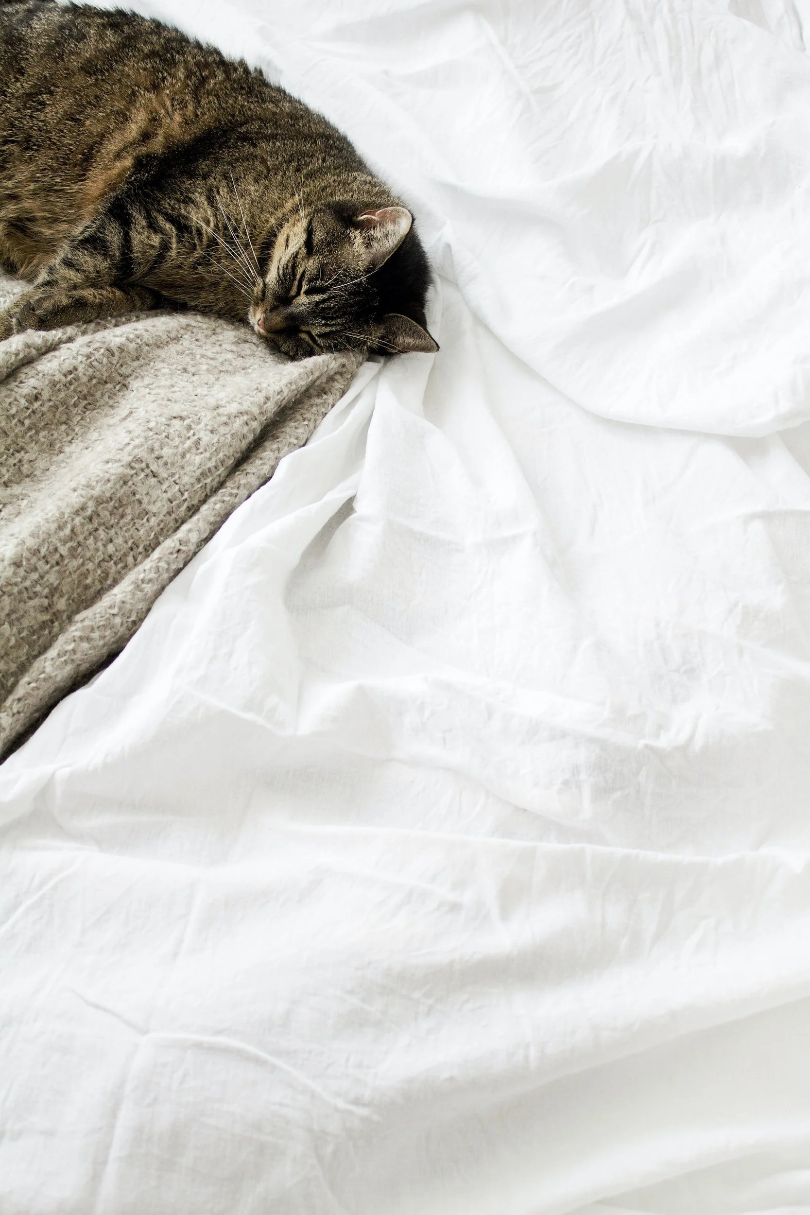 How to Upcycle Bed Sheets 10 Sustainable & Creative Ways — The Honest
