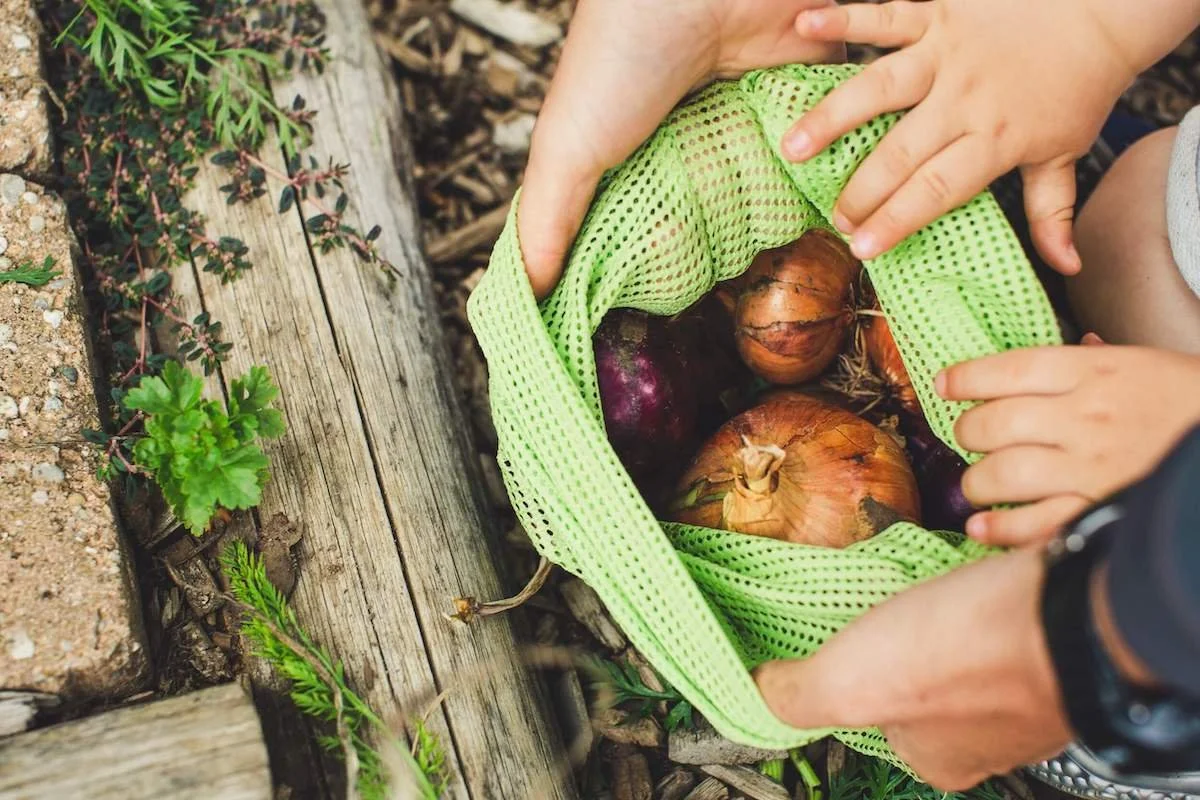 The 30 Most Incredible Gifts for Organic Lovers