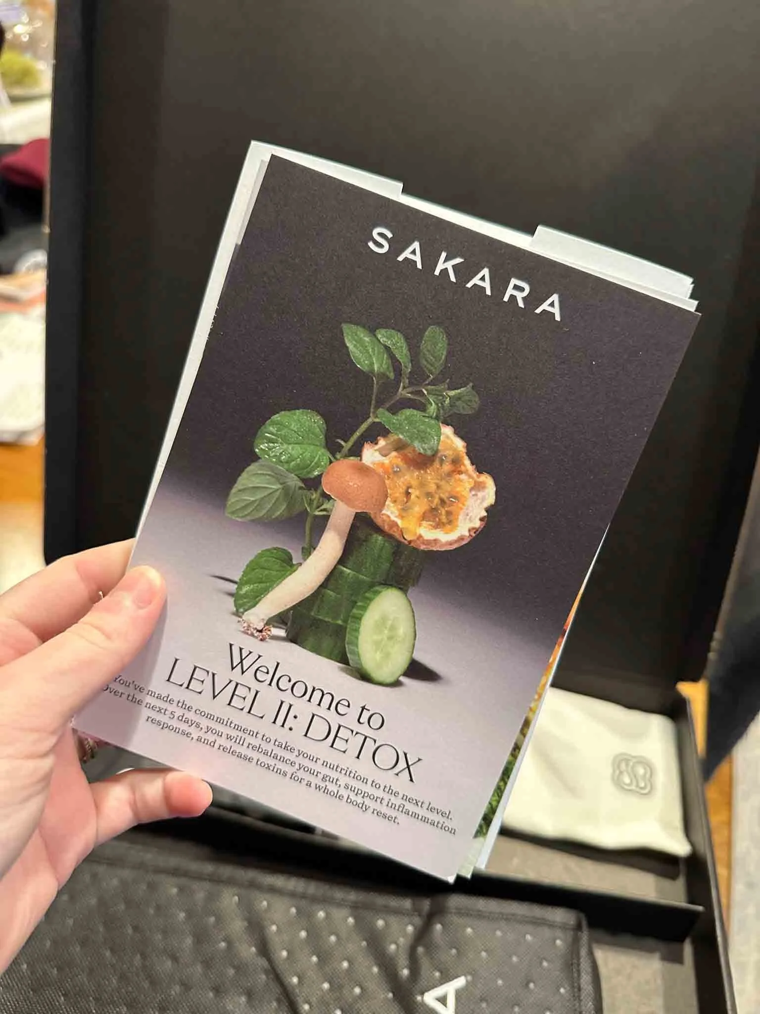 sakara detox guide