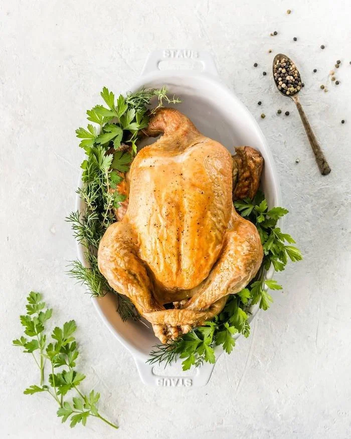 Which Chicken is Better? Pasture Raised vs Organic vs Free Range