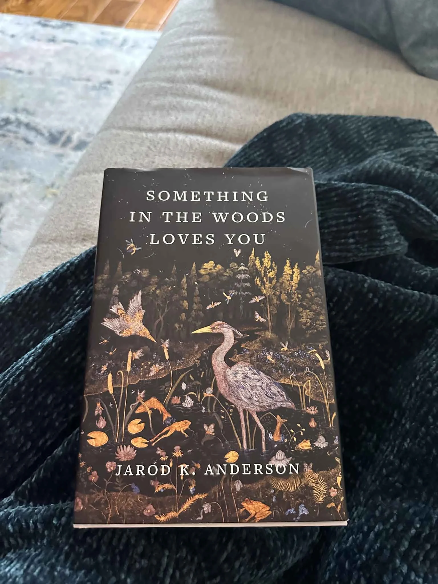 something in the woods loves you book
