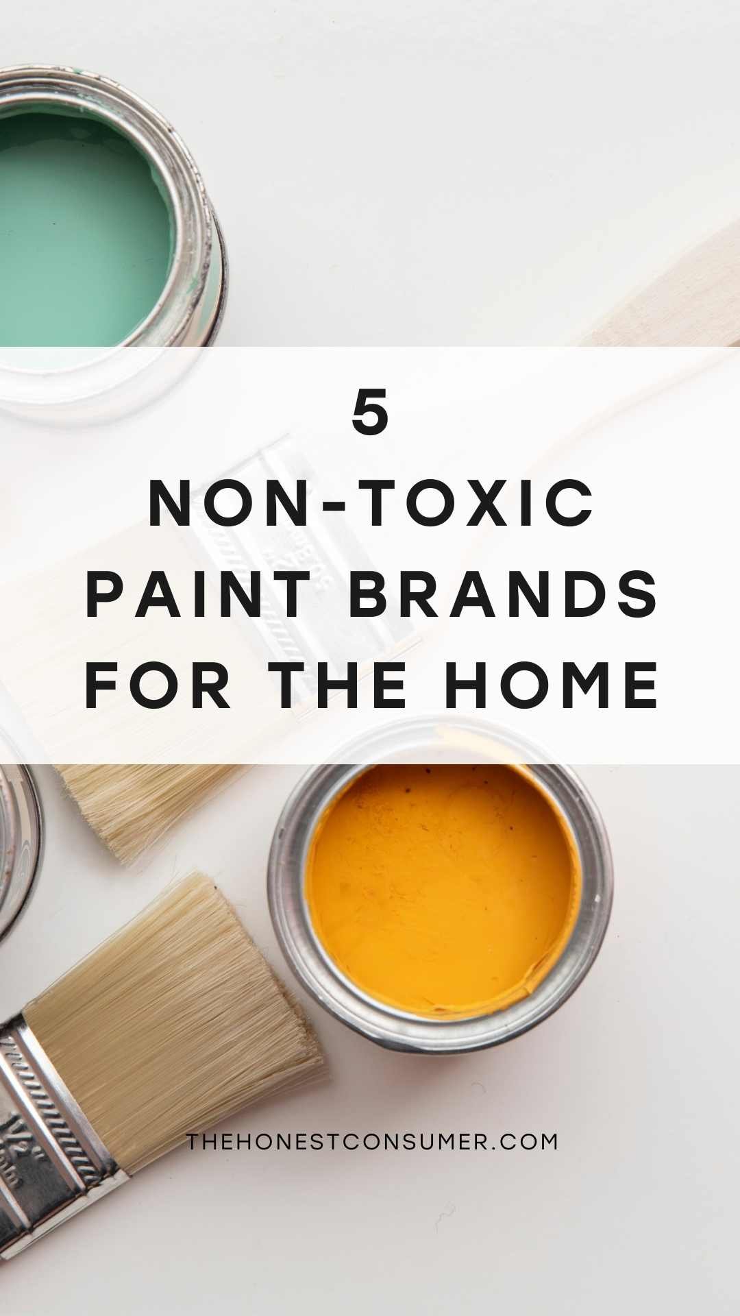 Party Favor Natural Paint Set ~ Non-Toxic