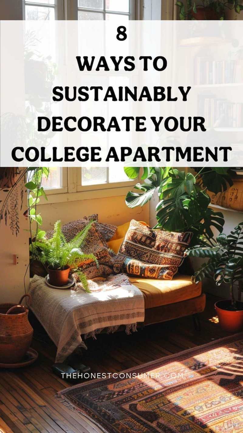 Renovating A Rental Apartment Sustainably