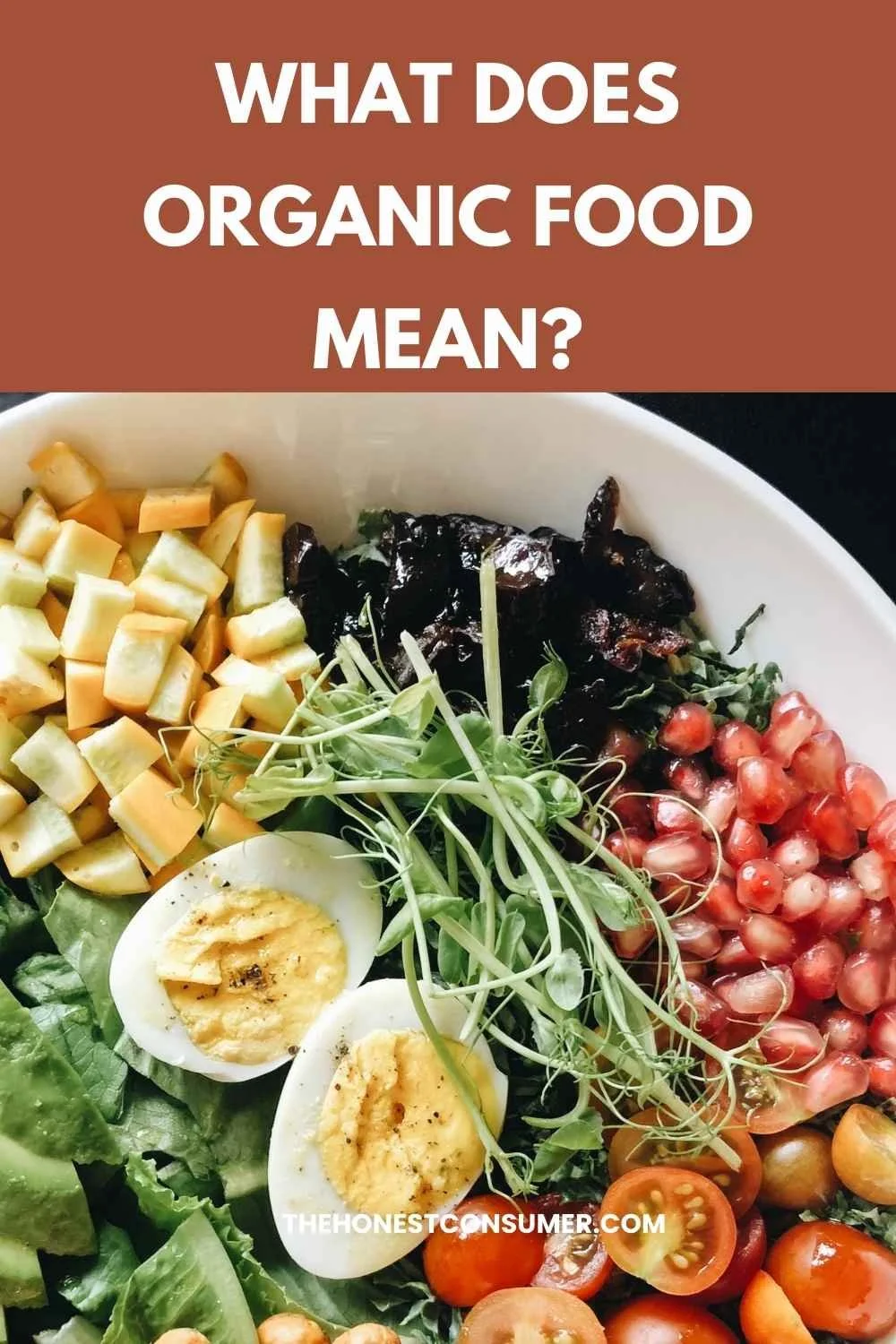what does organic food mean