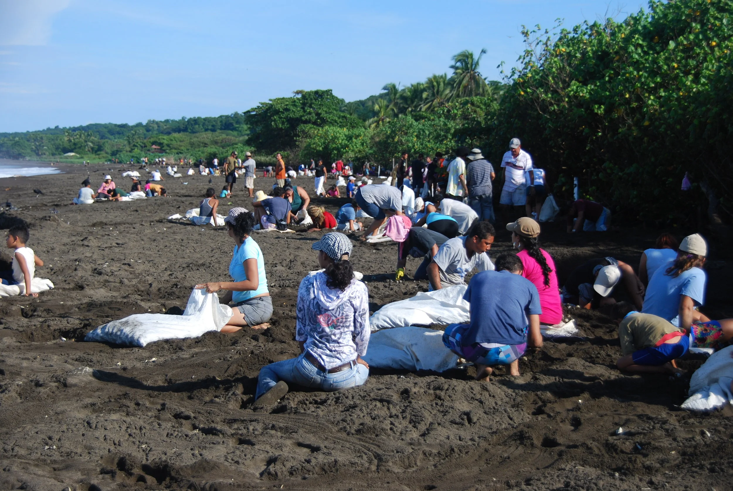    
  
 Normal.dotm 
 0 
 0 
 1 
 16 
 94 
 Lulu 
 1 
 1 
 115 
 12.256 
  
  
 
  
    
  
 0 
 false 
 
 
 18 pt 
 18 pt 
 0 
 0 
 
 false 
 false 
 false 
 
  
  
  
  
 
  
    
  
  
   
 
 /* Style Definitions */
table.MsoNormalTable
	{mso-styl