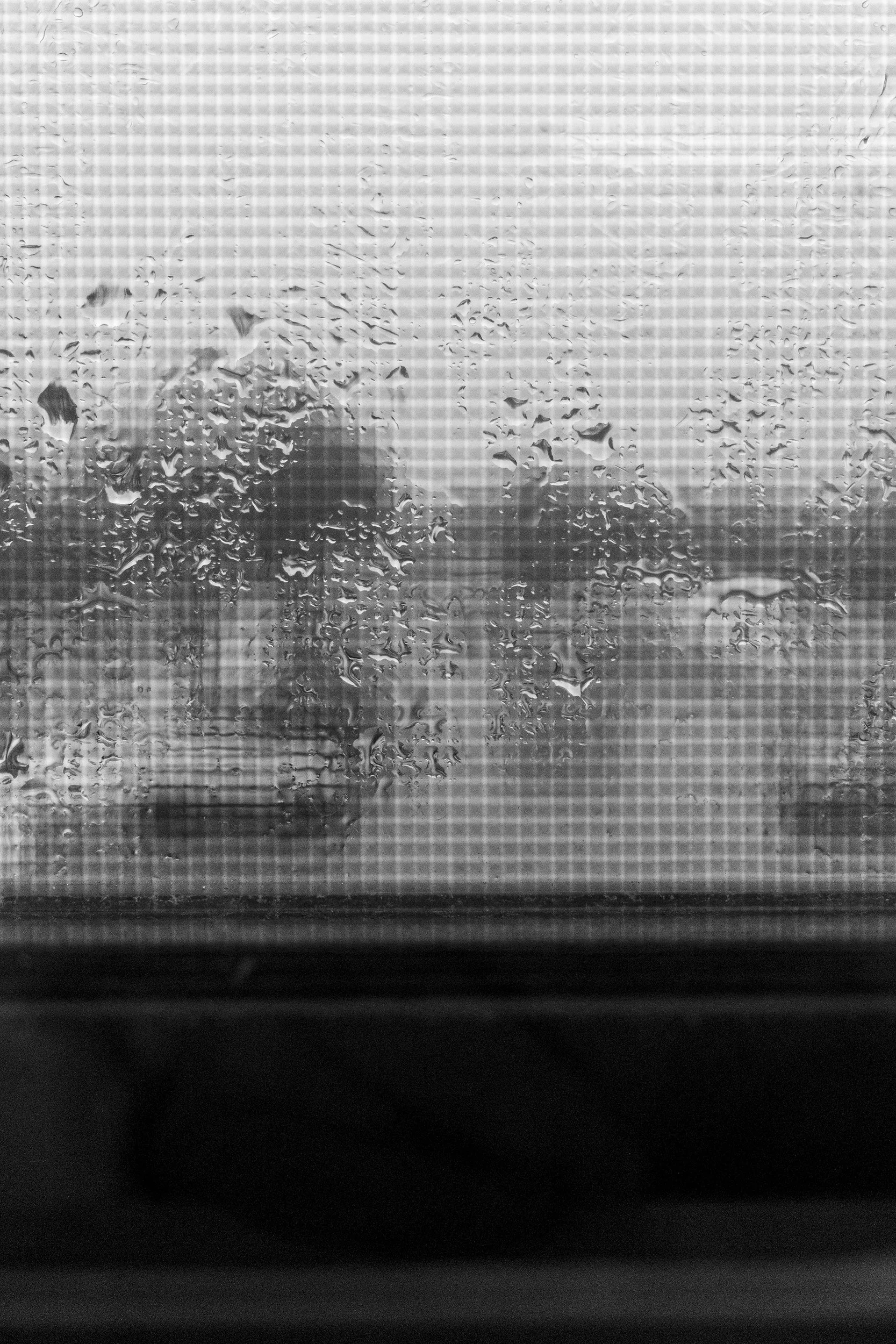 Elusive Futures - Early Spring 2026