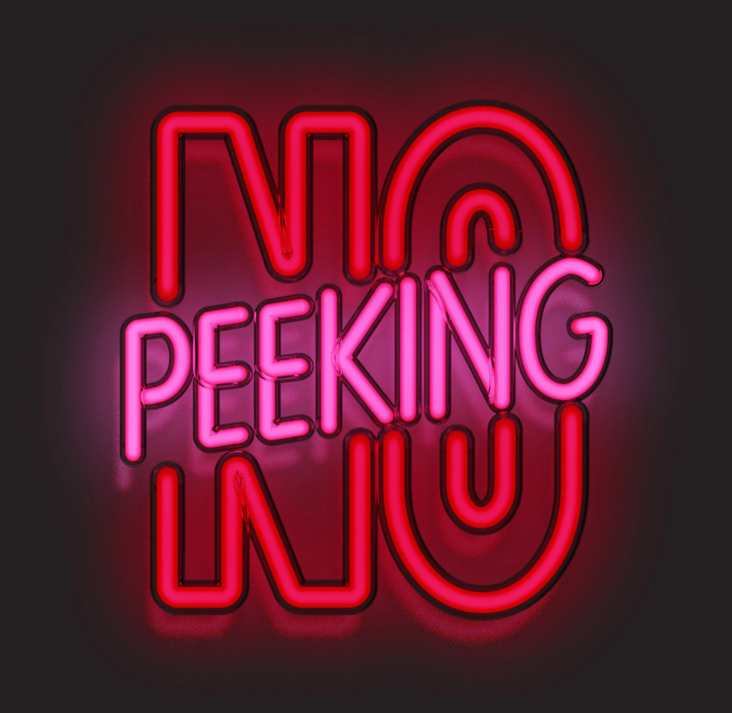 no_peeking_cover.jpg