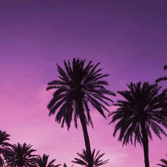alamoana_art.jpg