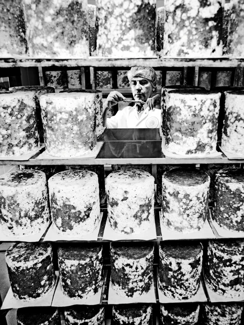 john lewis foodhall cheese.jpg