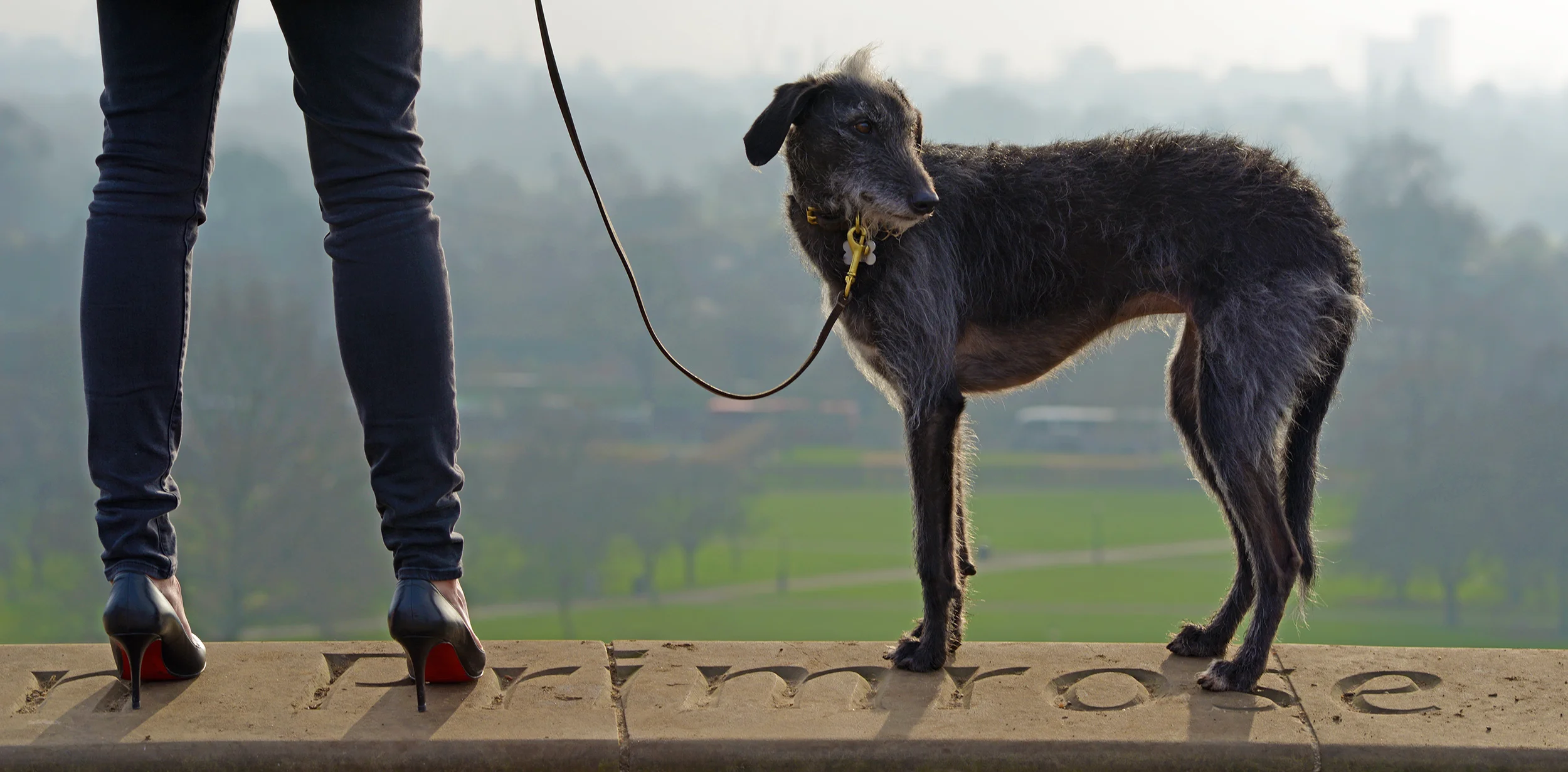 TRINE AND WILLOW.OTH.MARCH17.SLR.ED.WEB.jpg