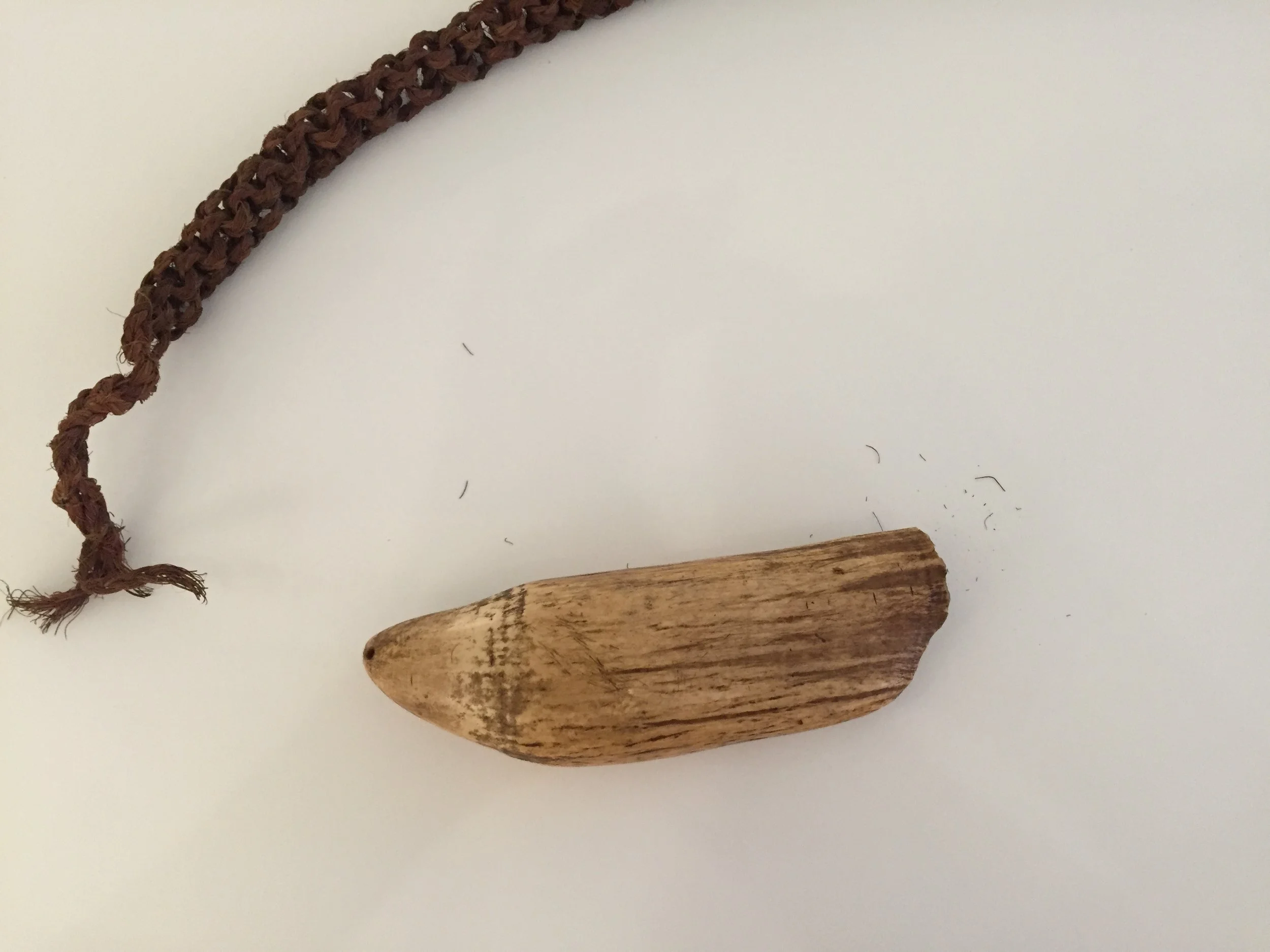 Copy of IMG_0492.JPG