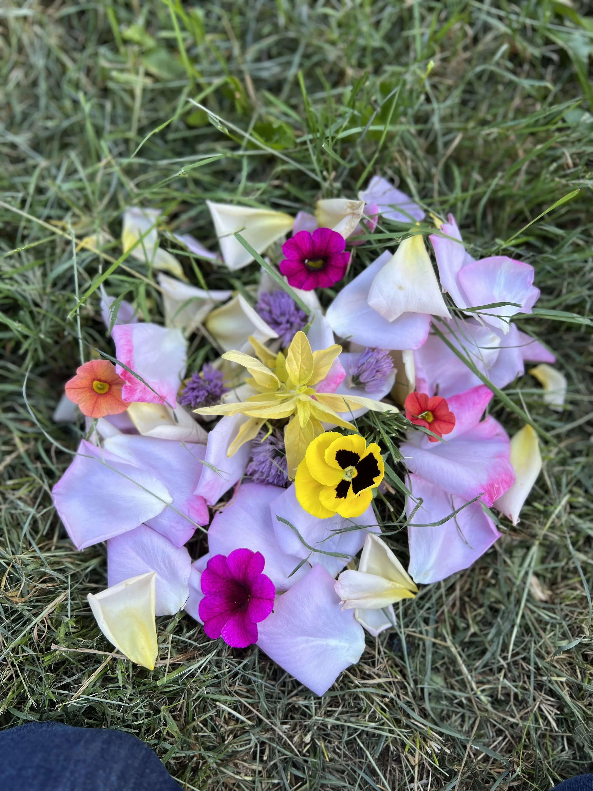 Finding a Therapist & Why Depth Therapy Supports Lifelong Growth