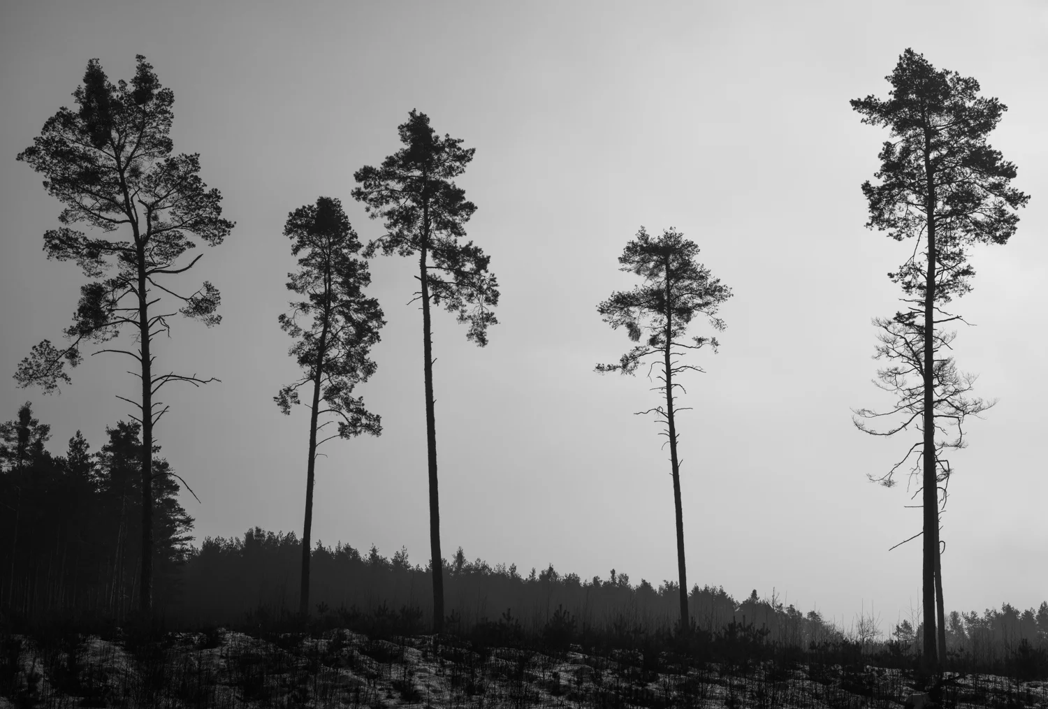 _DSC5669-Edit.jpg