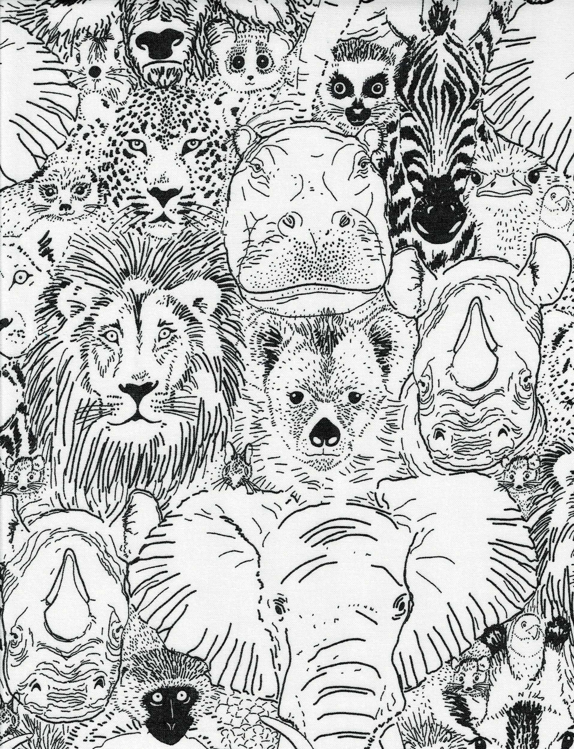 5EE69746-F116-40D9-9F6E-42F3C9E0FA10