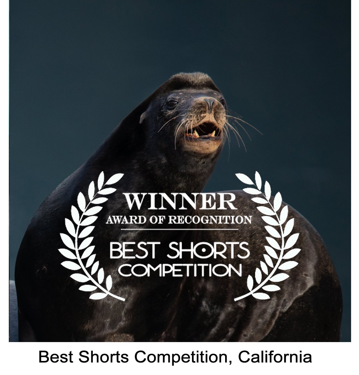 Best-Shorts-White-Border-2.jpg