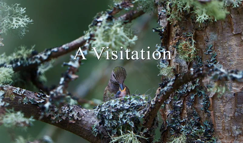 Visitation-thumbnail-2.jpg