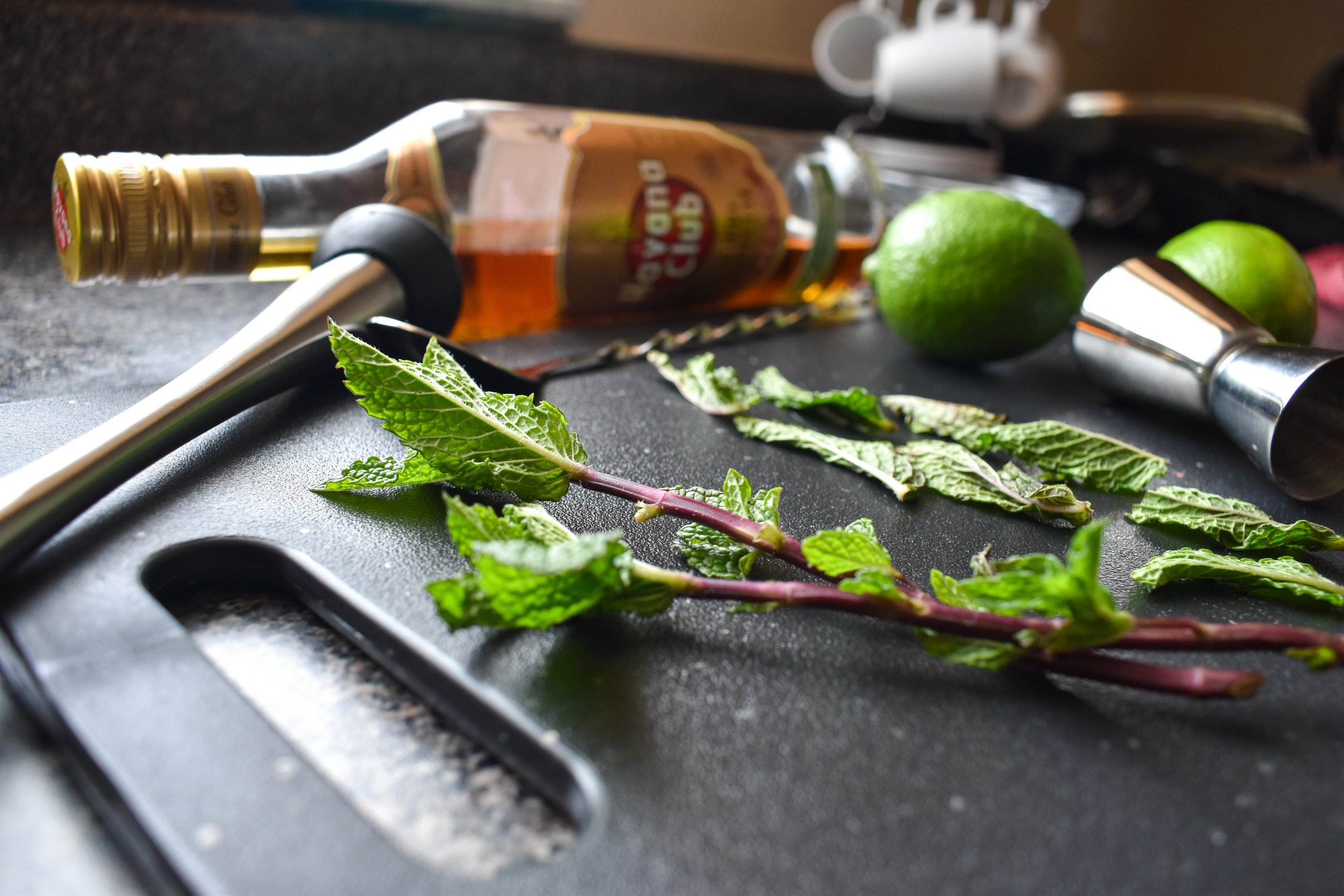 mojito with dark rum mint food blog gregsstyleguide