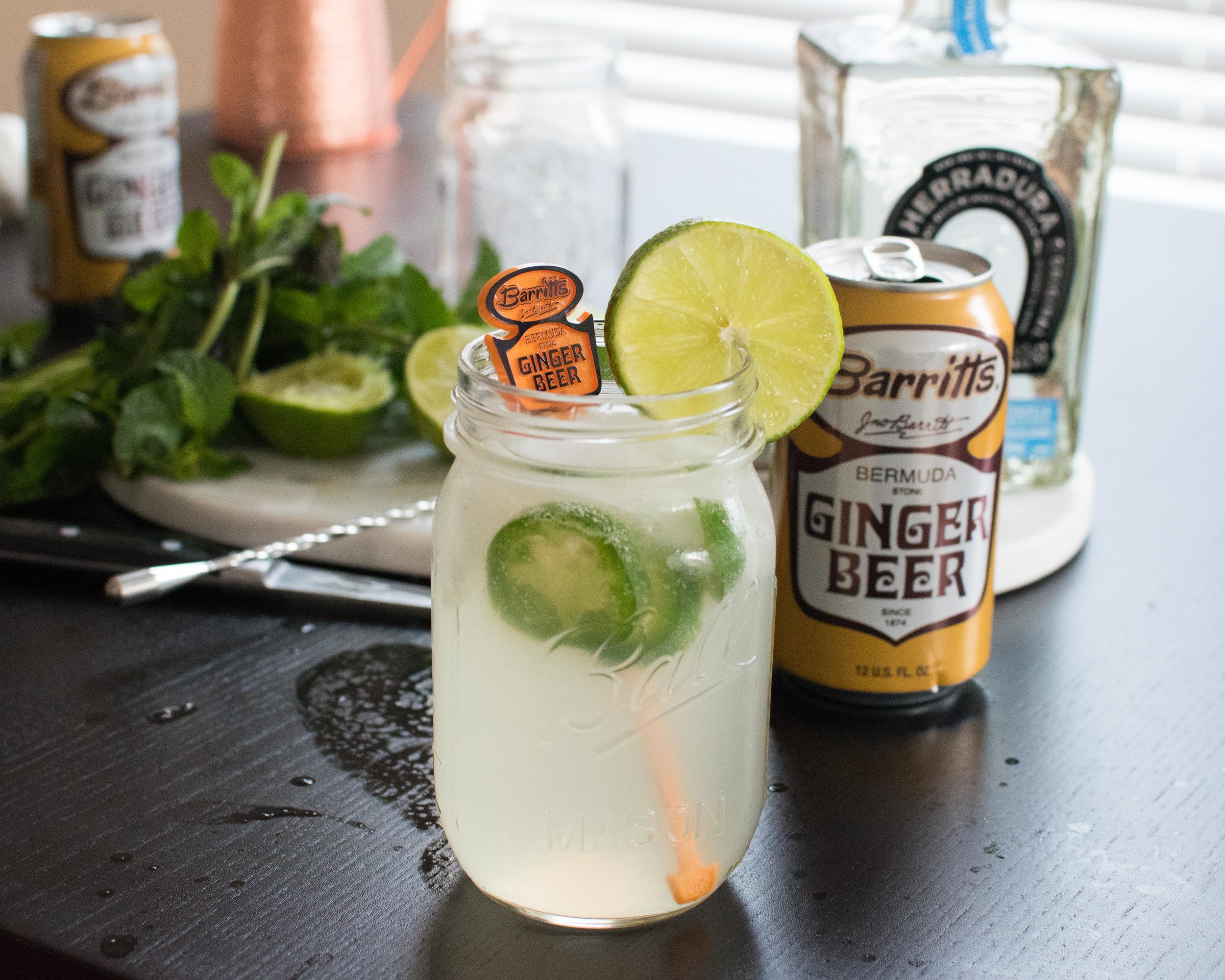 Mexican Mule Recipe Barritts Ginger Beer-24.jpg